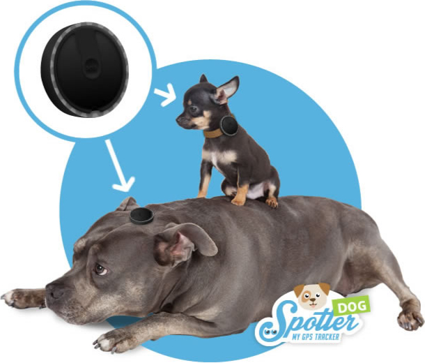 gps-tracker-hund-spotter