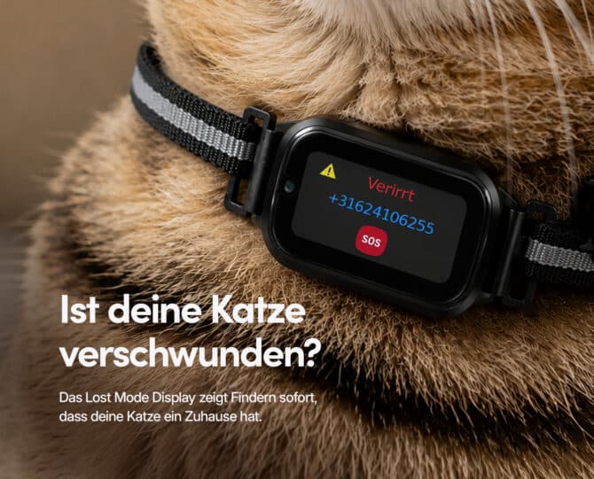 GPS Tracker Katze CatX - Spotter