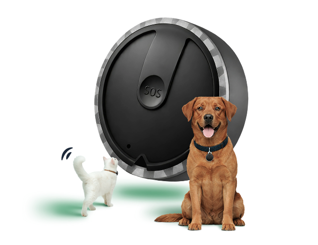 The smallest GPS tracker for pets - Spotter