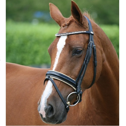 Horse GPS tracker - no subscription required - Spotter