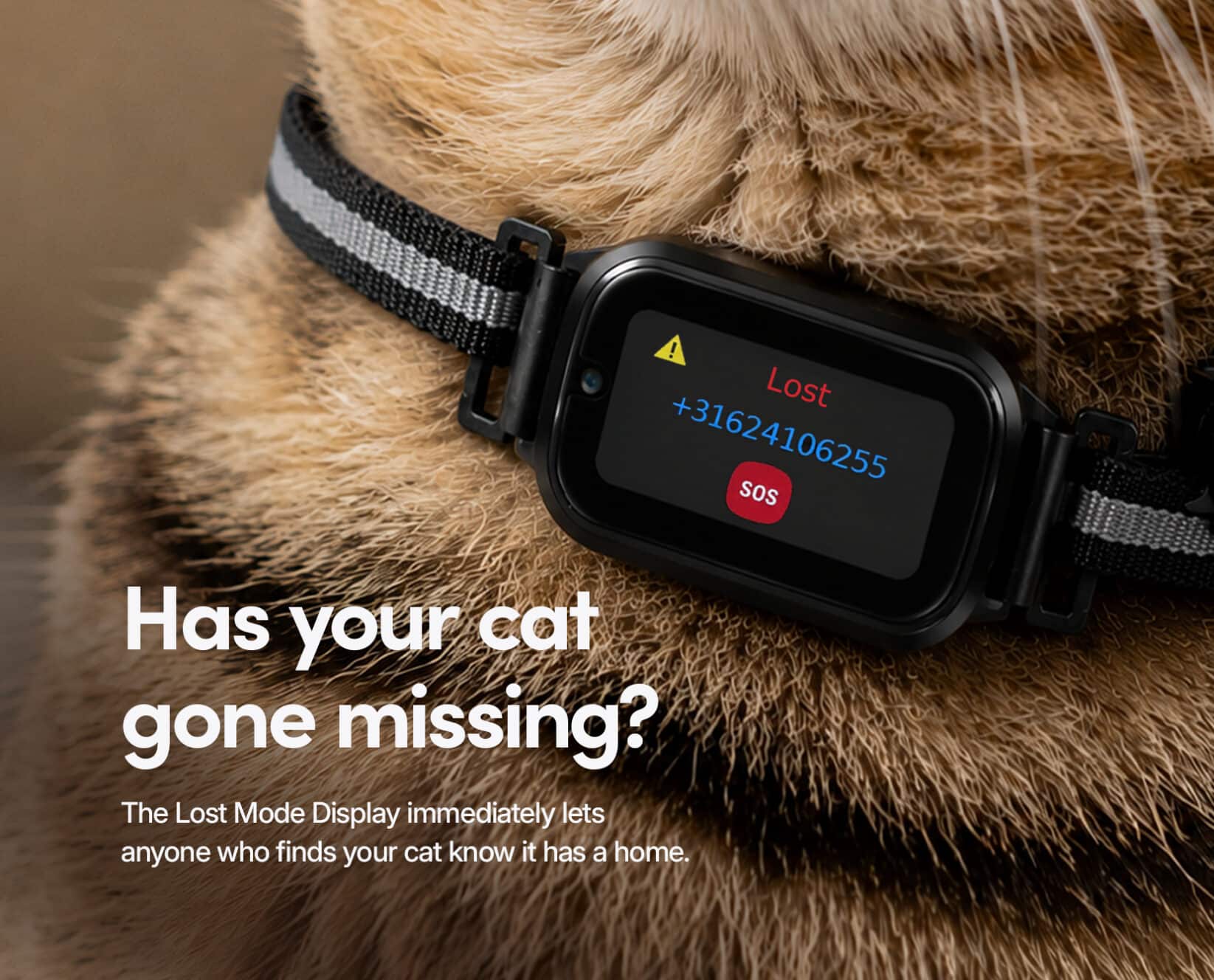 Spotter CatX - Cat GPS Tracker with Display, No Subscription (New!)
