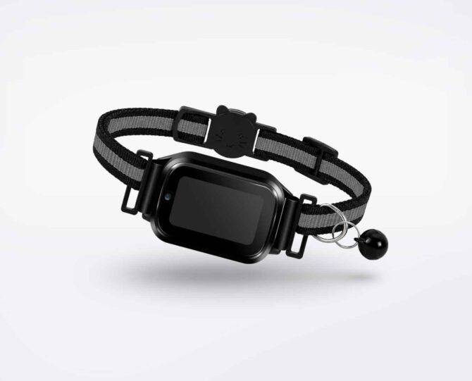 Kat GPS tracker CatX - tracker op zwarte halsband - Spotter