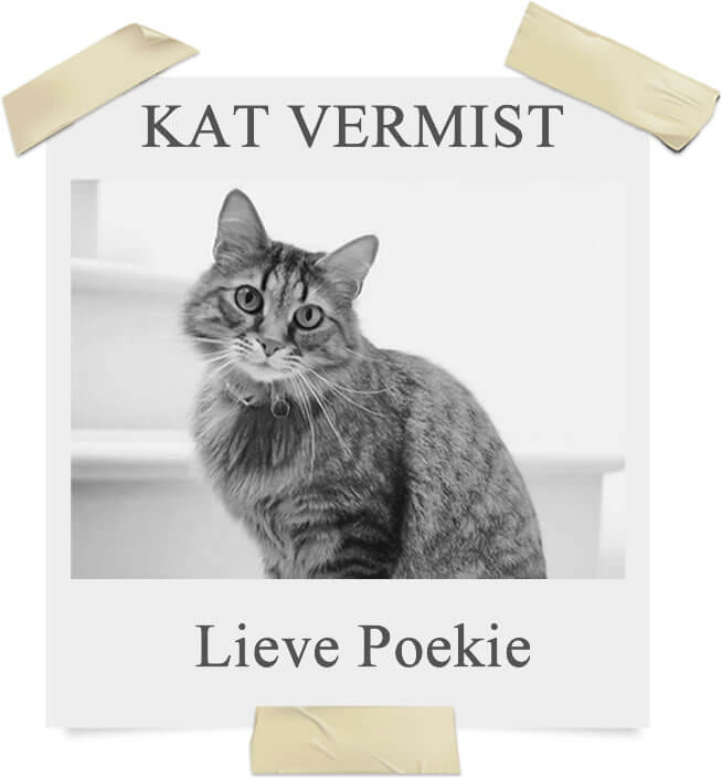 gps tracker on cats - spotter gps tracker on cats - spotter