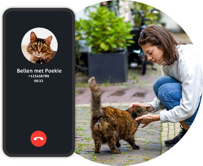 small gps tracker for cats - spotter