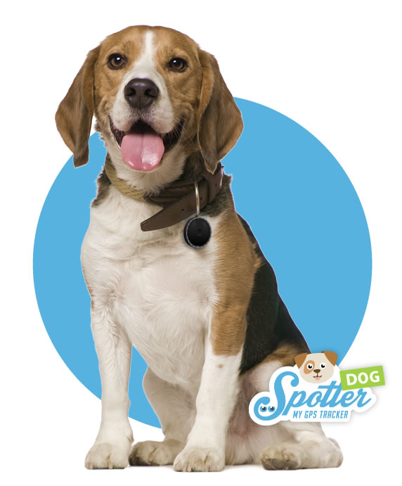 gps para perros de caza - Spotter GPS