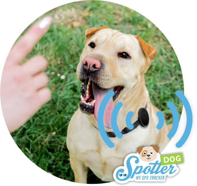 gps para perros de caza - alarma Spotter GPS
