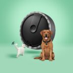 mascotas destacadas por los Spotter