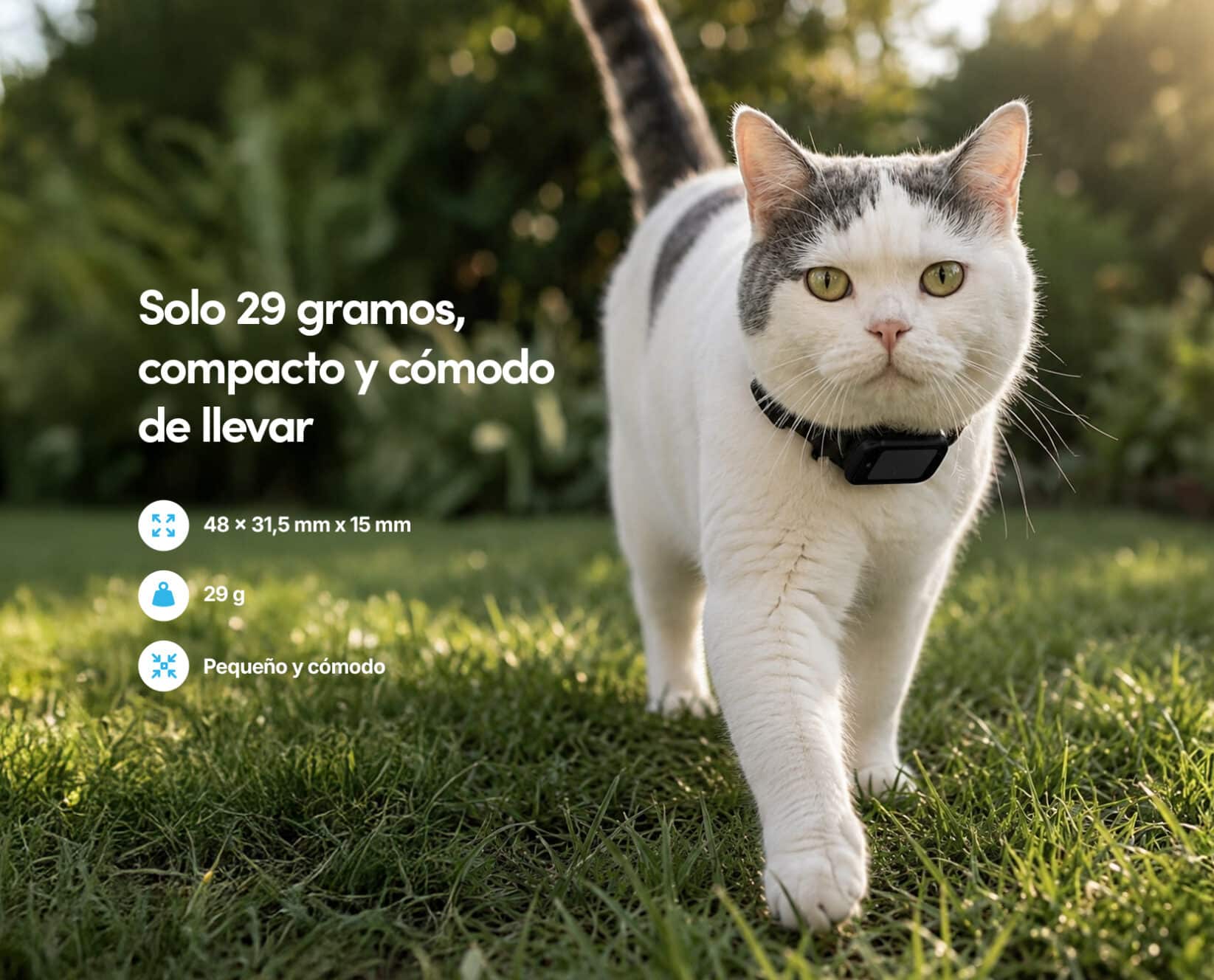 Spotter CatX - Localizador GPS para Gatos con Pantalla, Sin Cuotas