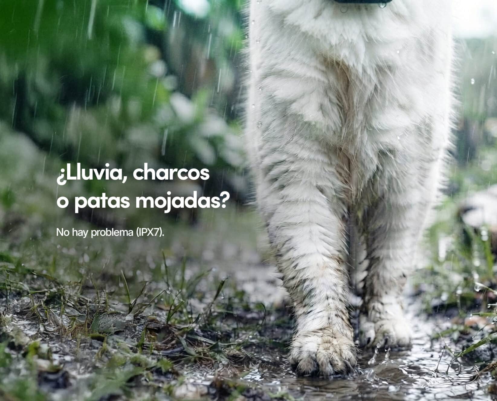 Spotter CatX - Localizador GPS para Gatos con Pantalla, Sin Cuotas