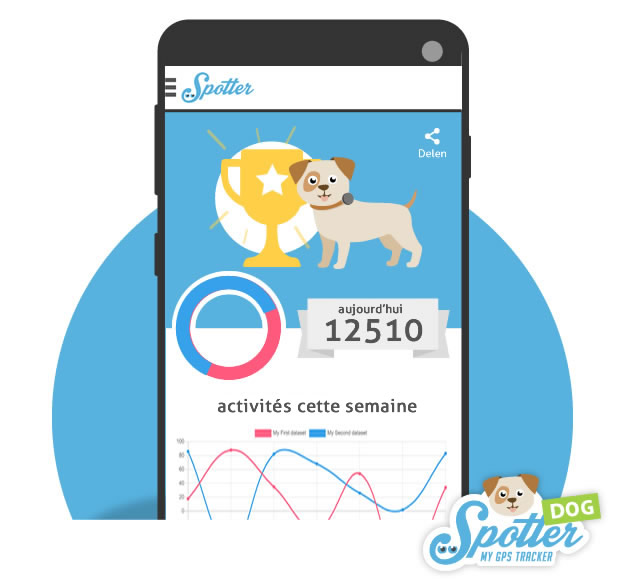 collier chien gps - spotter