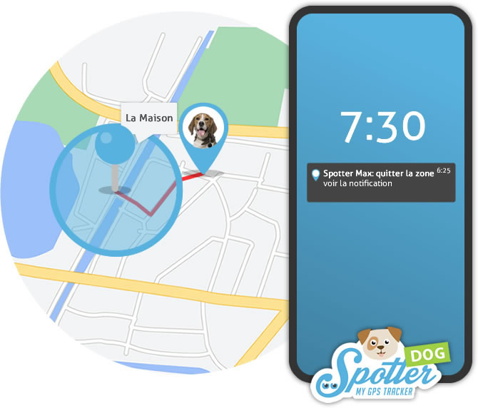 collier gps pour chien sans abonnement - spotter