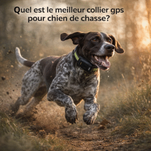 gps chien de chasse - spotter (3)