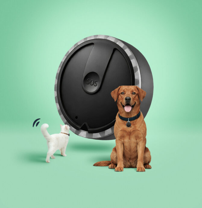 spotter-animaux-de-compagnie-en-vedette