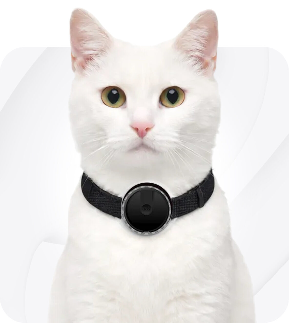 GPS tracker kat - Spotter