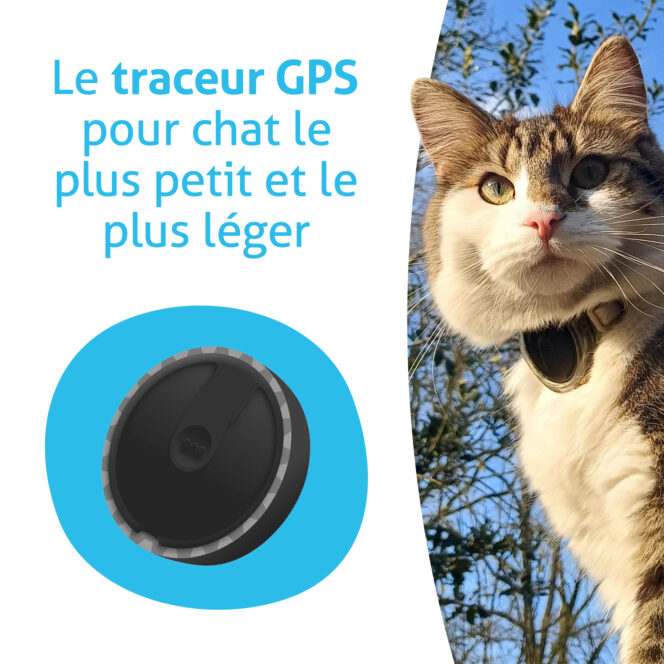 Pet Spotter