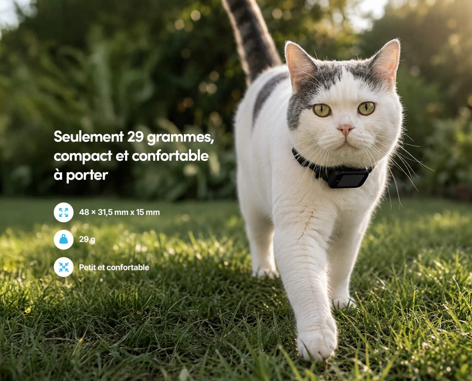 Spotter CatX - Traceur GPS pour Chat avec Écran, Sans Abonnement