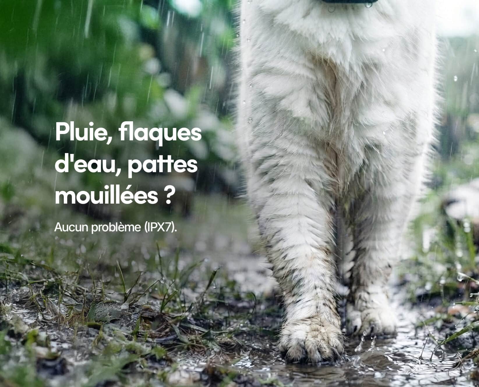 Spotter CatX - Traceur GPS pour Chat avec Écran, Sans Abonnement