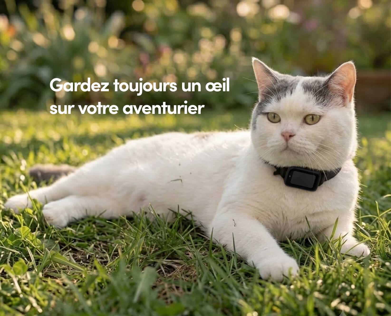 Spotter CatX - Traceur GPS pour Chat avec Écran, Sans Abonnement