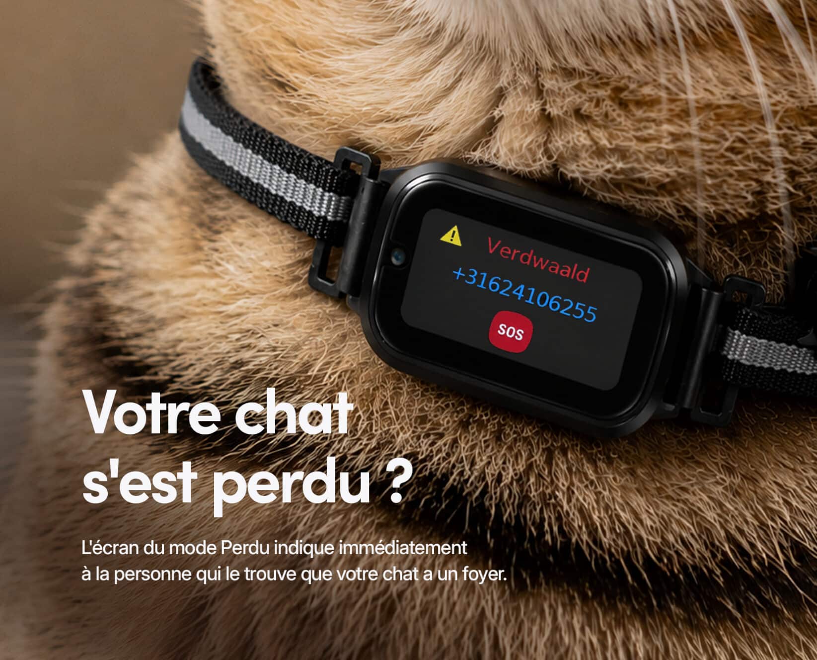 Spotter CatX - Traceur GPS pour Chat avec Écran, Sans Abonnement