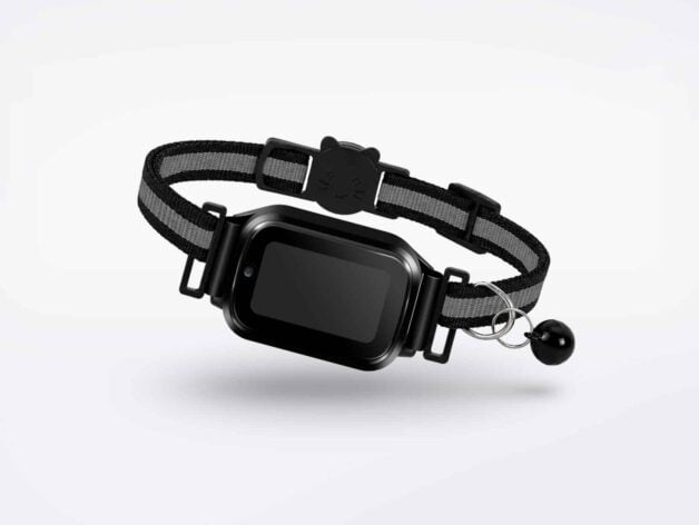 Kat GPS tracker CatX - tracker op zwarte halsband - Spotter