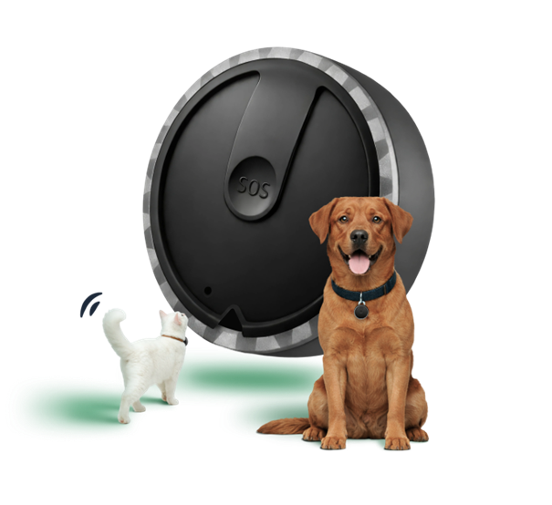 Pet Spotter