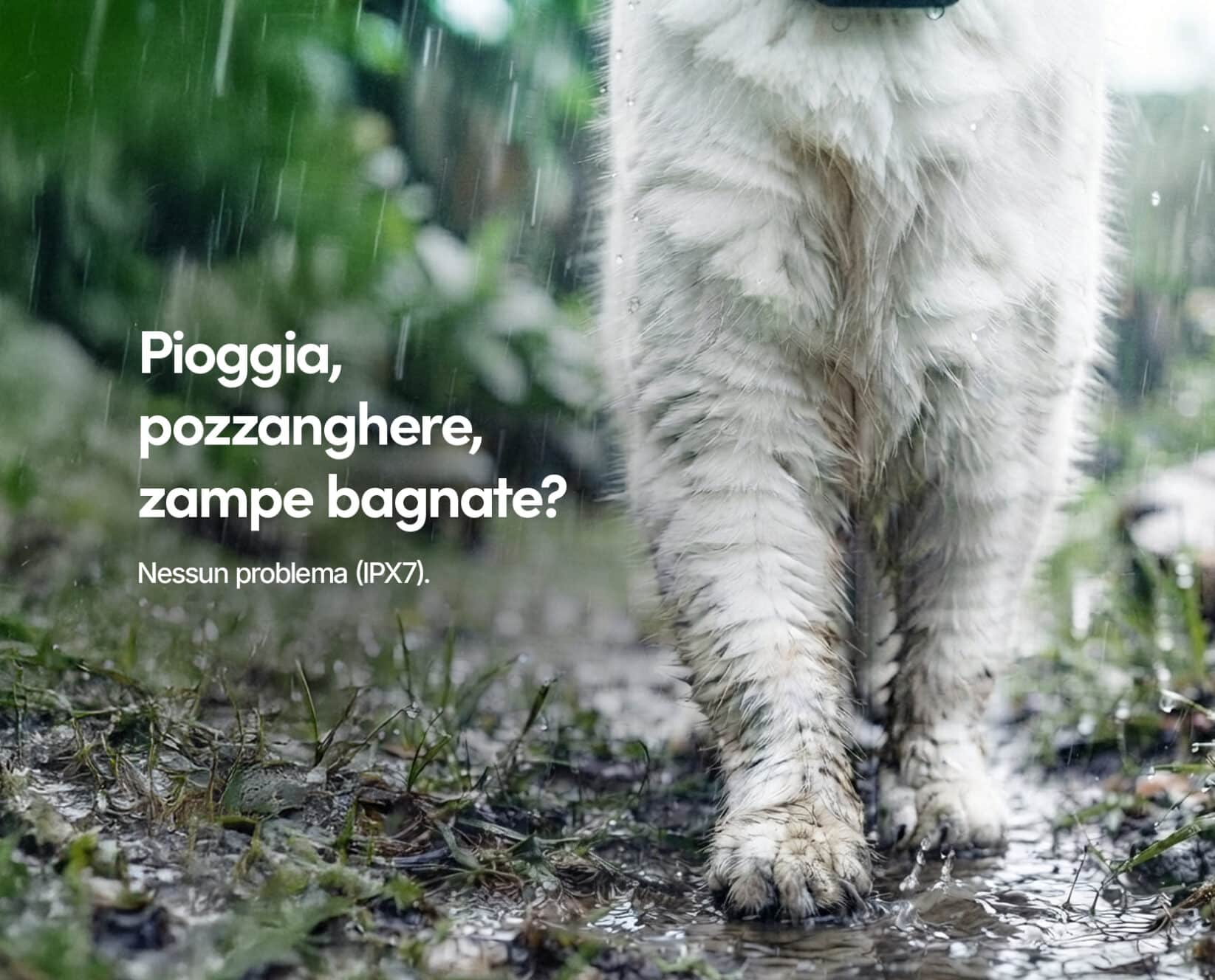 Spotter CatX - Localizzatore GPS per Gatti con Display, Senza Abbonamento