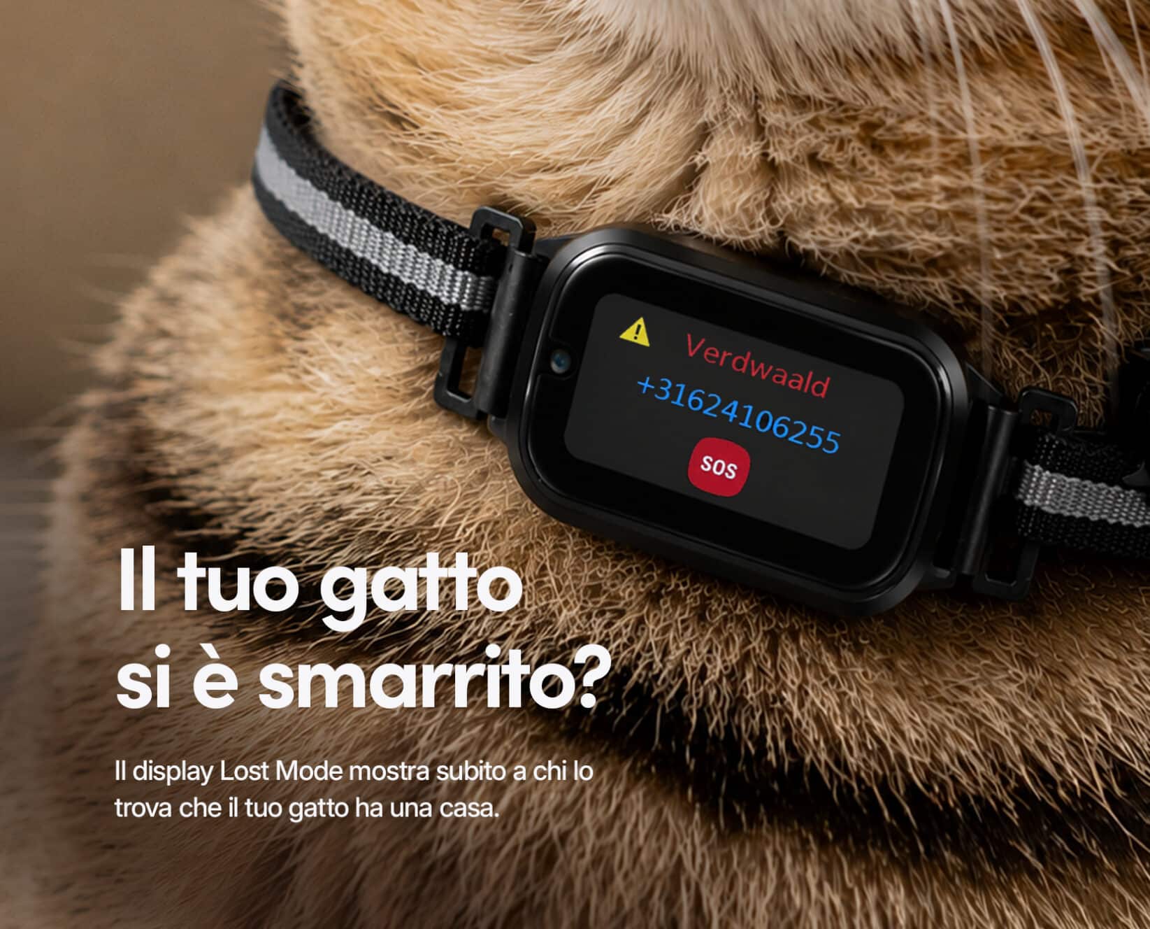Spotter CatX - Localizzatore GPS per Gatti con Display, Senza Abbonamento