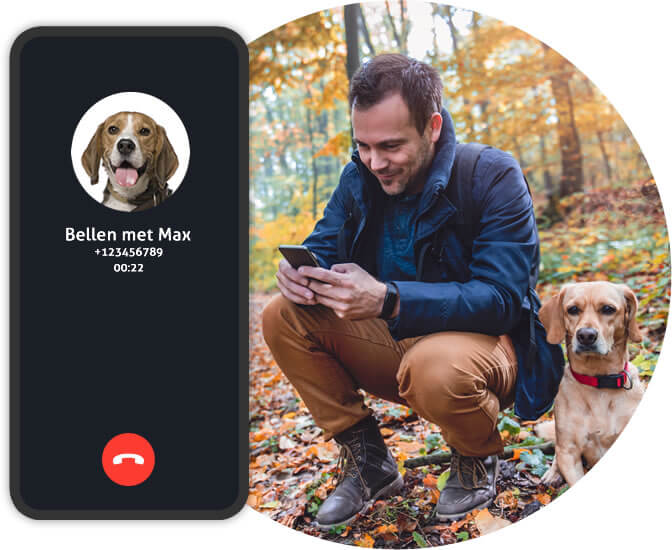 Cani-da-caccia-gps-per