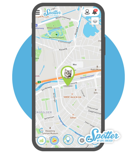 collare gps gatto - spotter
