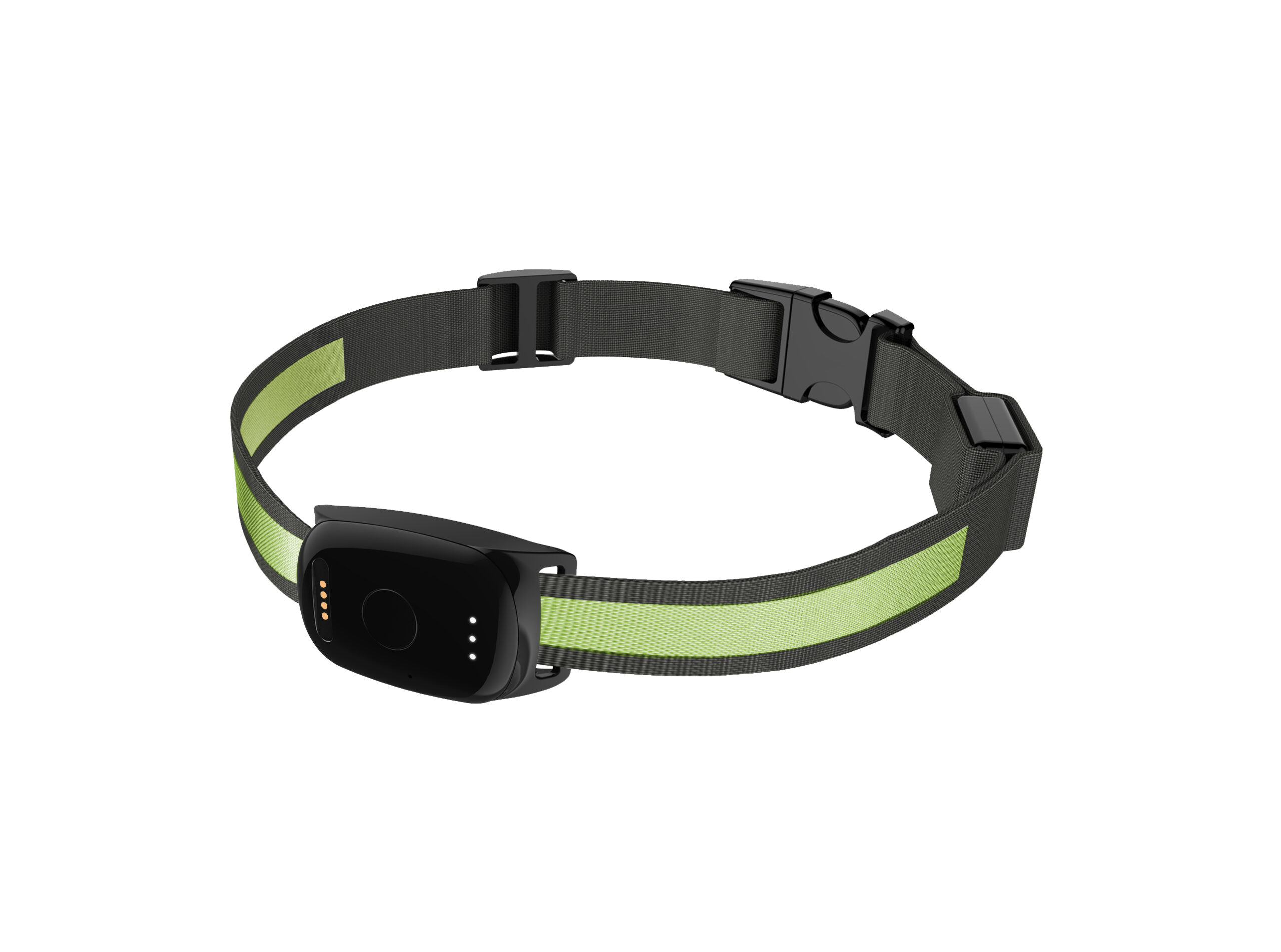 collare gps gatto senza abbonamento - spotter