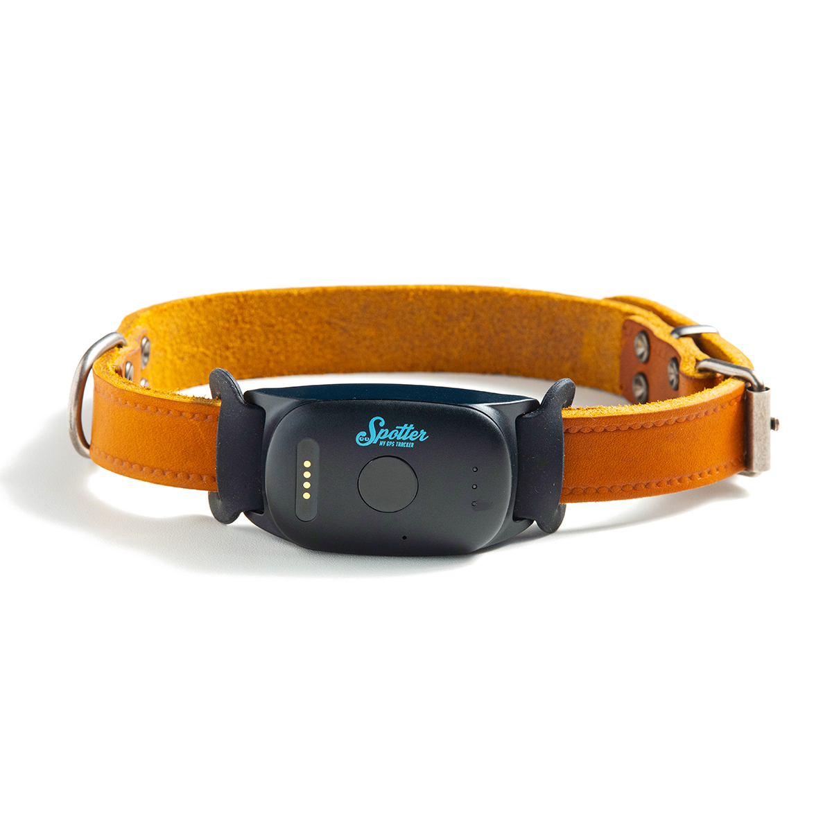 gps collare gatto - spotter