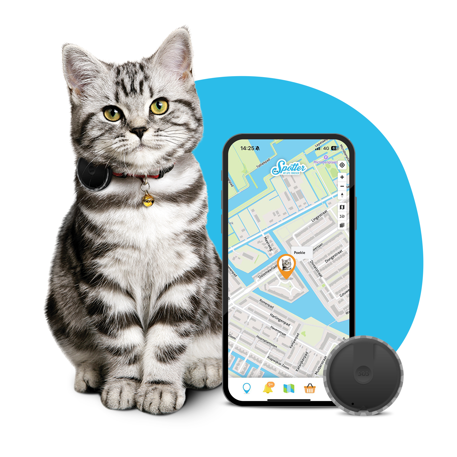 gps collare gatto - spotter