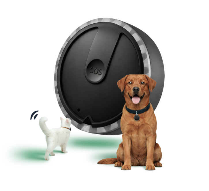 Pet Spotter