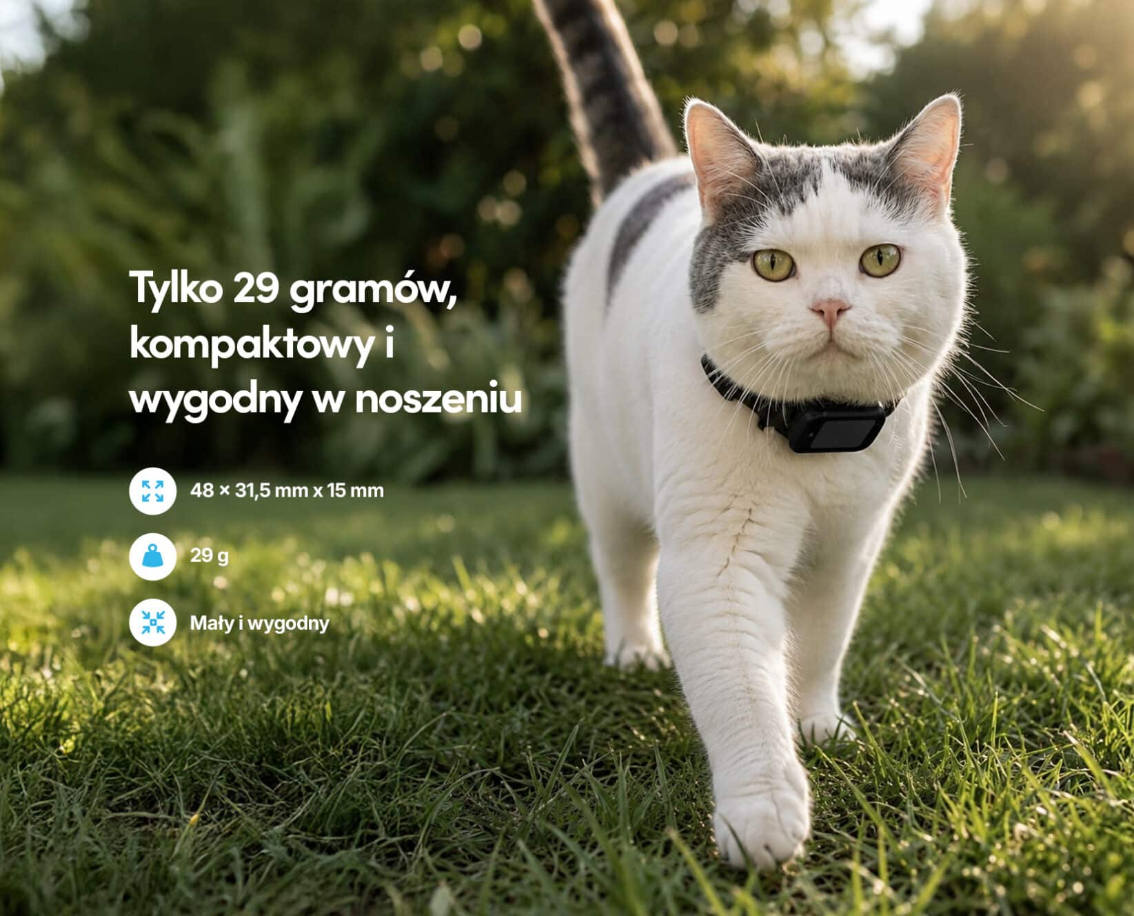 Spotter CatX - Lokalizator GPS dla Kota z Wyświetlaczem, Bez Abonamentu