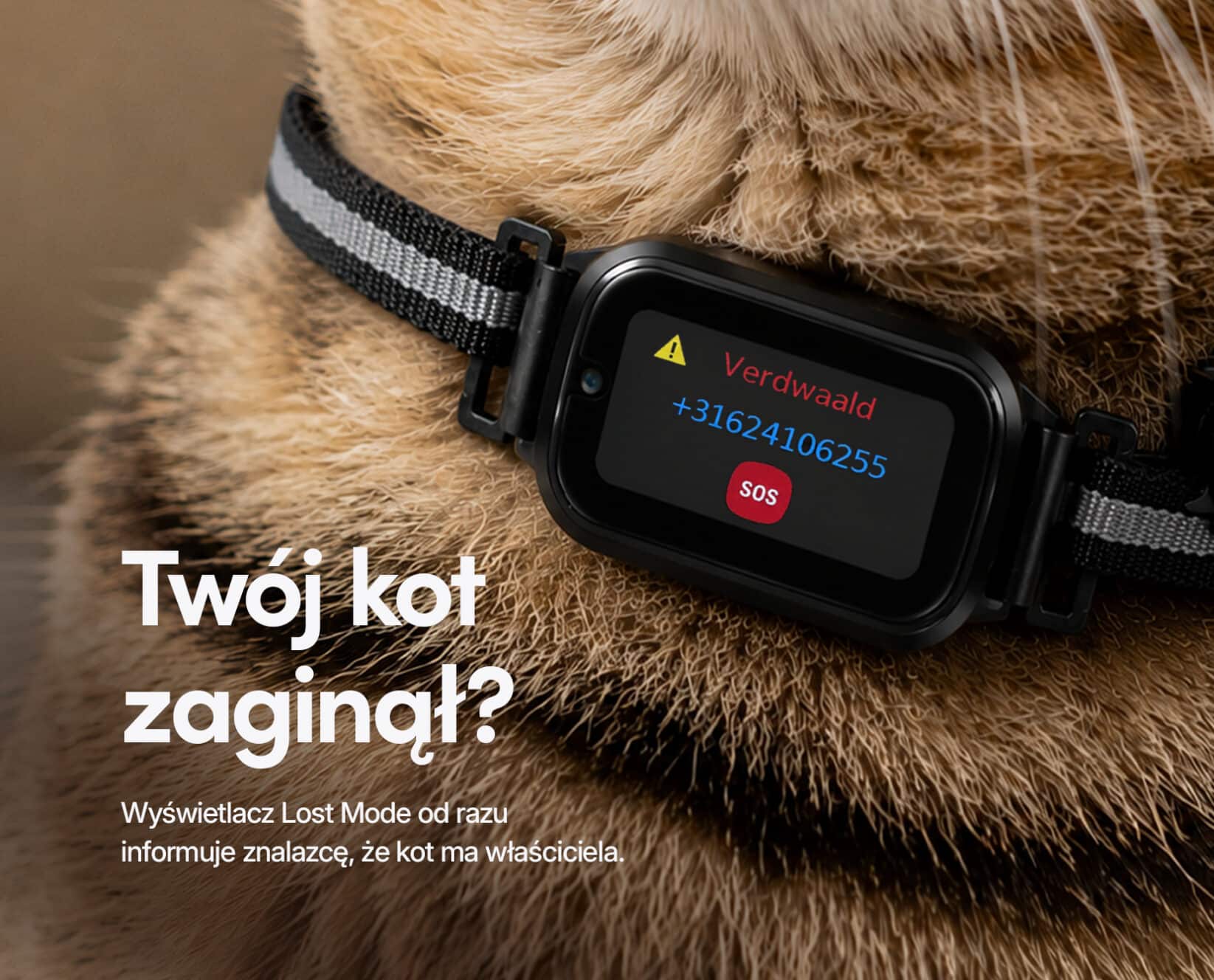 Spotter CatX - Lokalizator GPS dla Kota z Wyświetlaczem, Bez Abonamentu