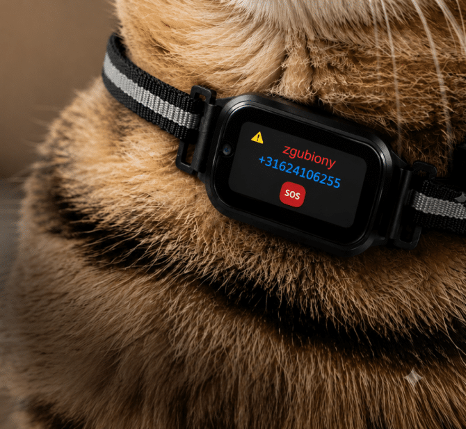 Lokalizator GPS dla kota - spotter