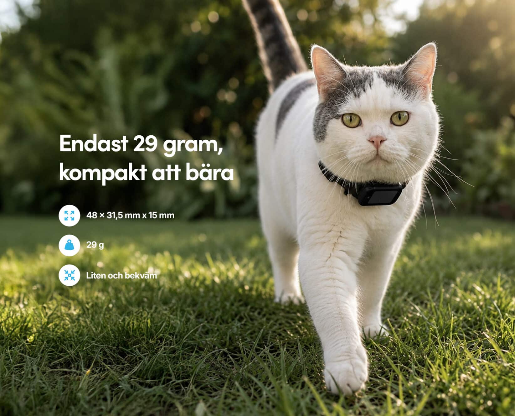Spotter CatX - GPS Spårare för Katt med Skärm, Utan Abonnemang