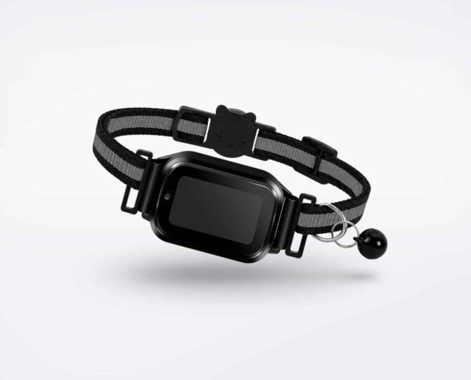 Kat GPS tracker CatX - tracker op zwarte halsband - Spotter