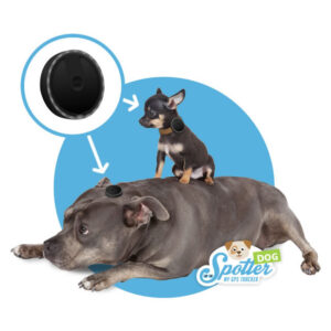 gps tracker hond - spotter
