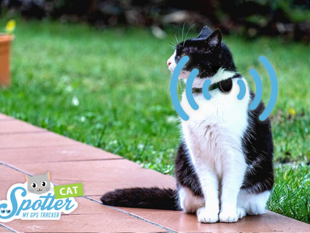 katten gps tracker - spotter