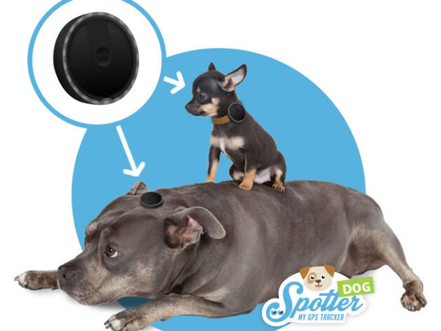 Pet Spotter honden gps tracker video