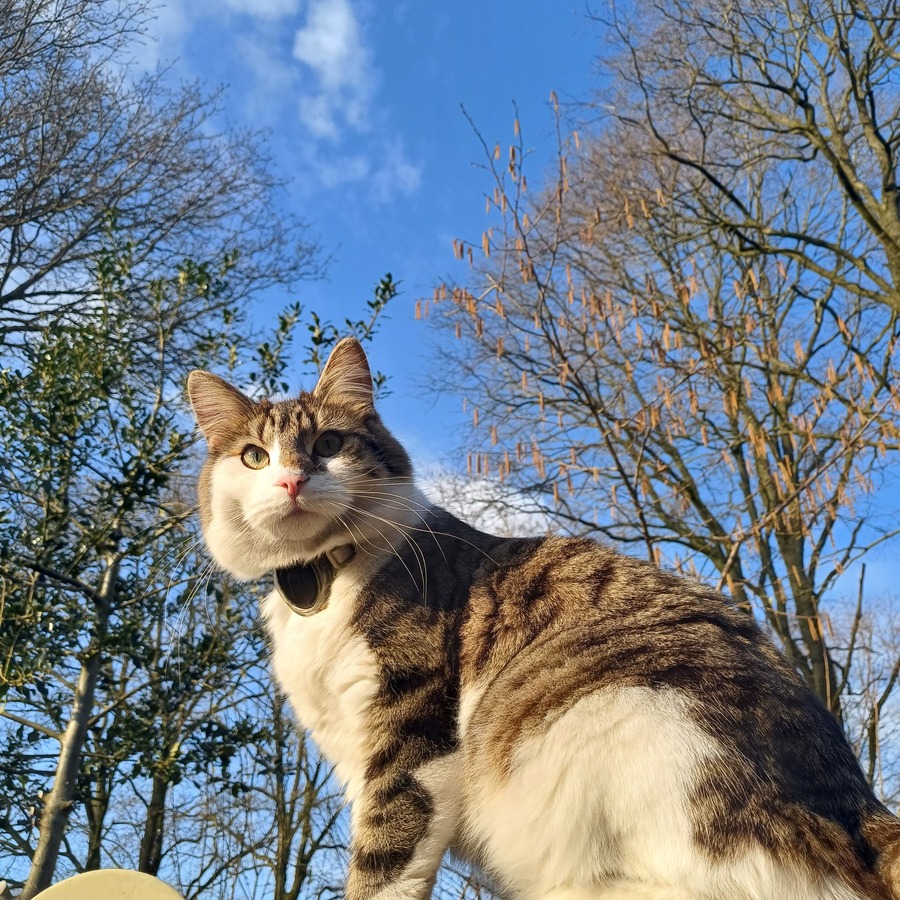 tracket kat - spotter