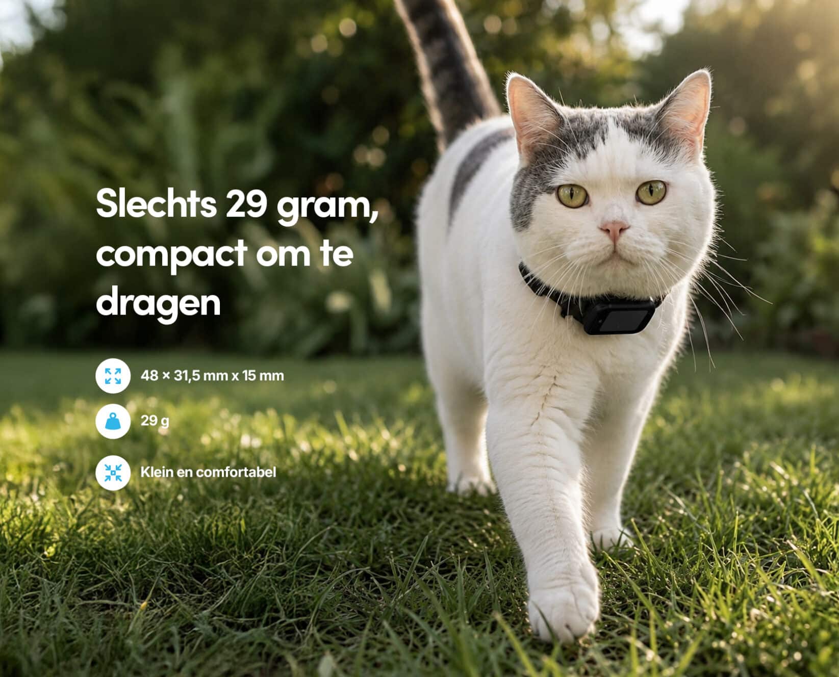 Spotter CatX - Kat GPS tracker zonder abonnement mét display