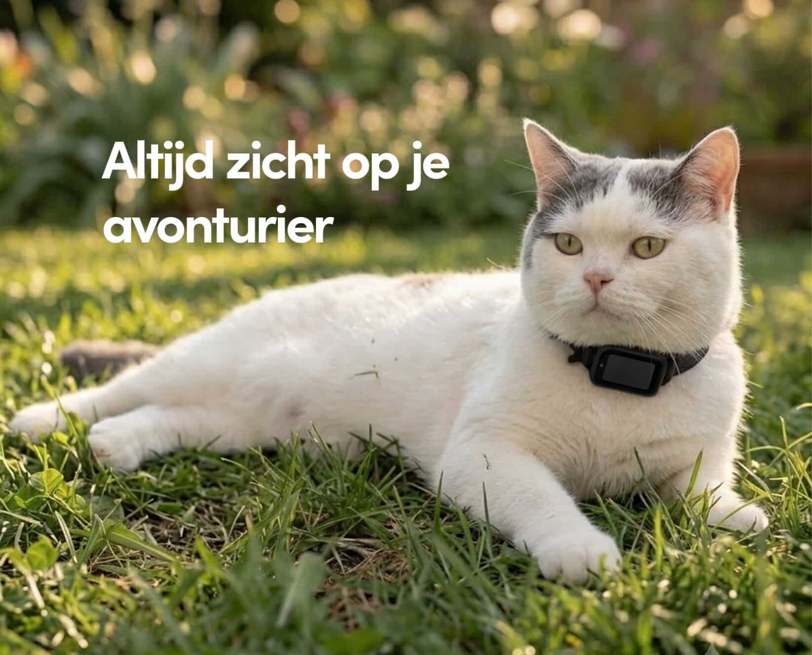 Spotter CatX - Kat GPS tracker zonder abonnement mét display