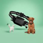 huisdieren tracker - spotter