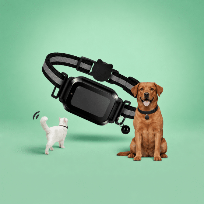 huisdieren tracker - spotter