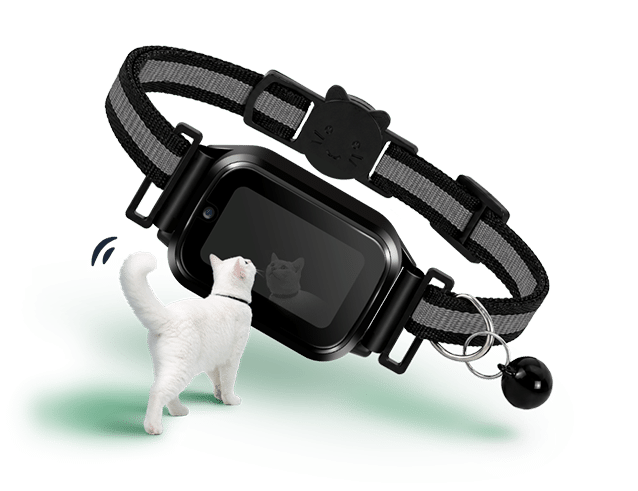 katten gps tracker - spotter